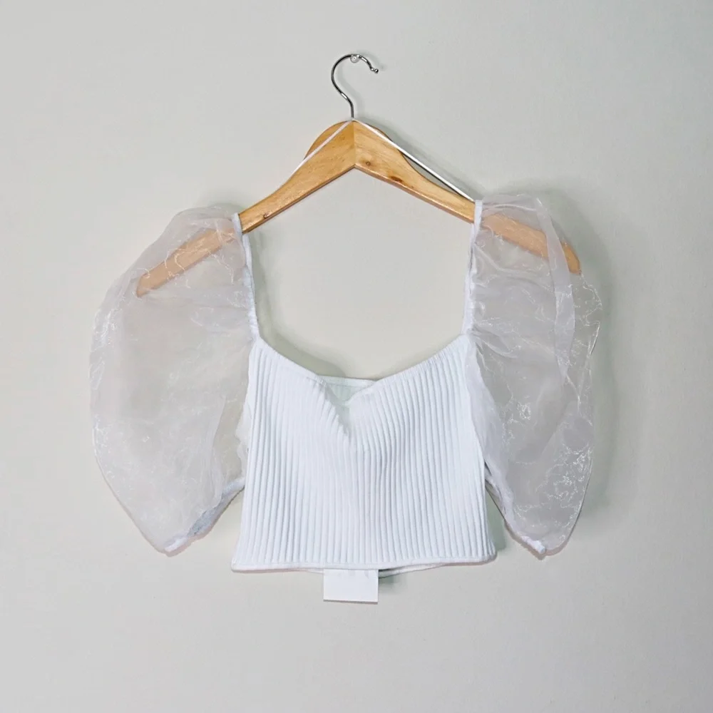 Zara Sheer Puff Sleeves Top with Organza Inserts - Picture 5 of 11
